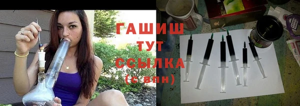 ECSTASY Горняк
