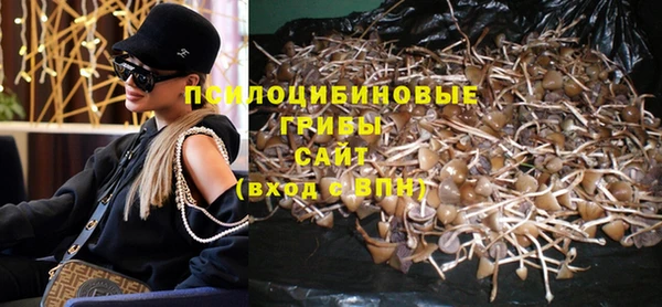 марки nbome Вяземский