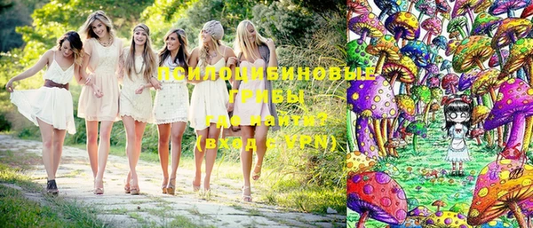 спиды Горно-Алтайск