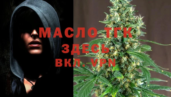ECSTASY Горняк