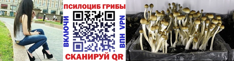 Галлюциногенные грибы мухоморы  купить   Черемхово 